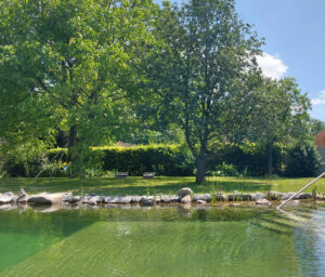Garten mit Teich und Bäumen